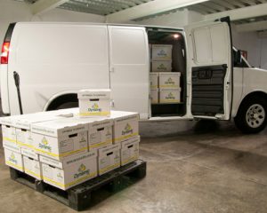 archivo muerto almacenes y transporte