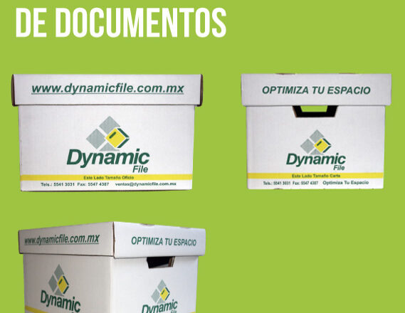 caja dynamic file